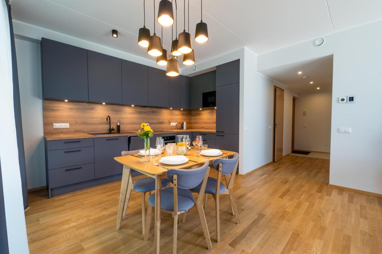 Delta Luxury Apartment With Terrace Tartu Buitenkant foto