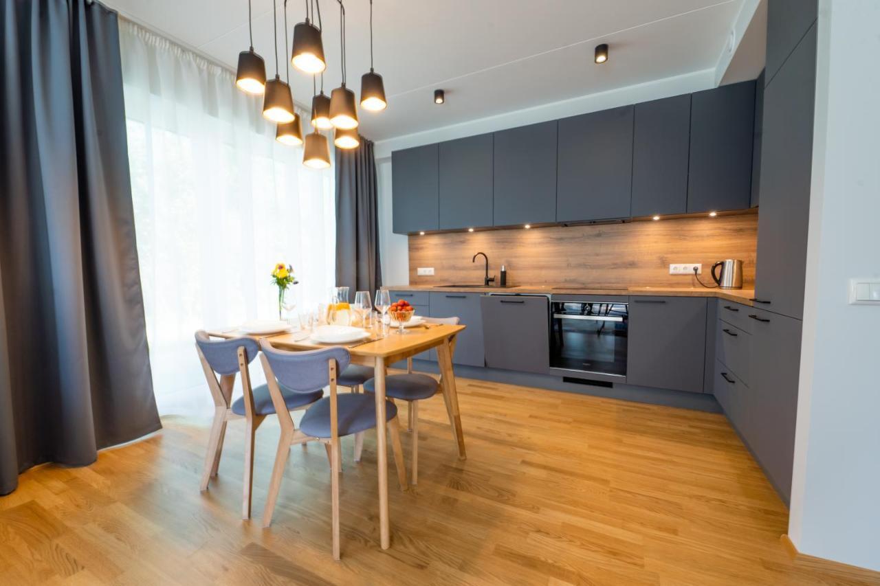 Delta Luxury Apartment With Terrace Tartu Buitenkant foto